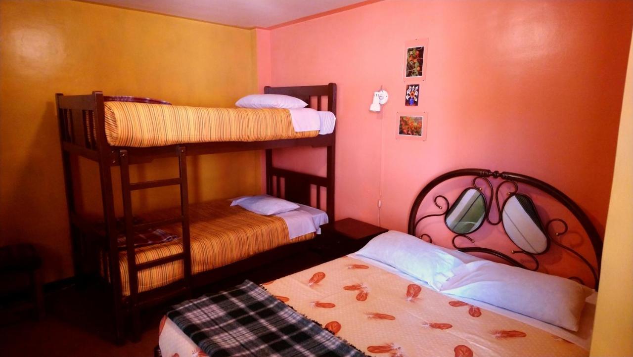 La Casa Del Manzano Hotel Puno Exterior photo